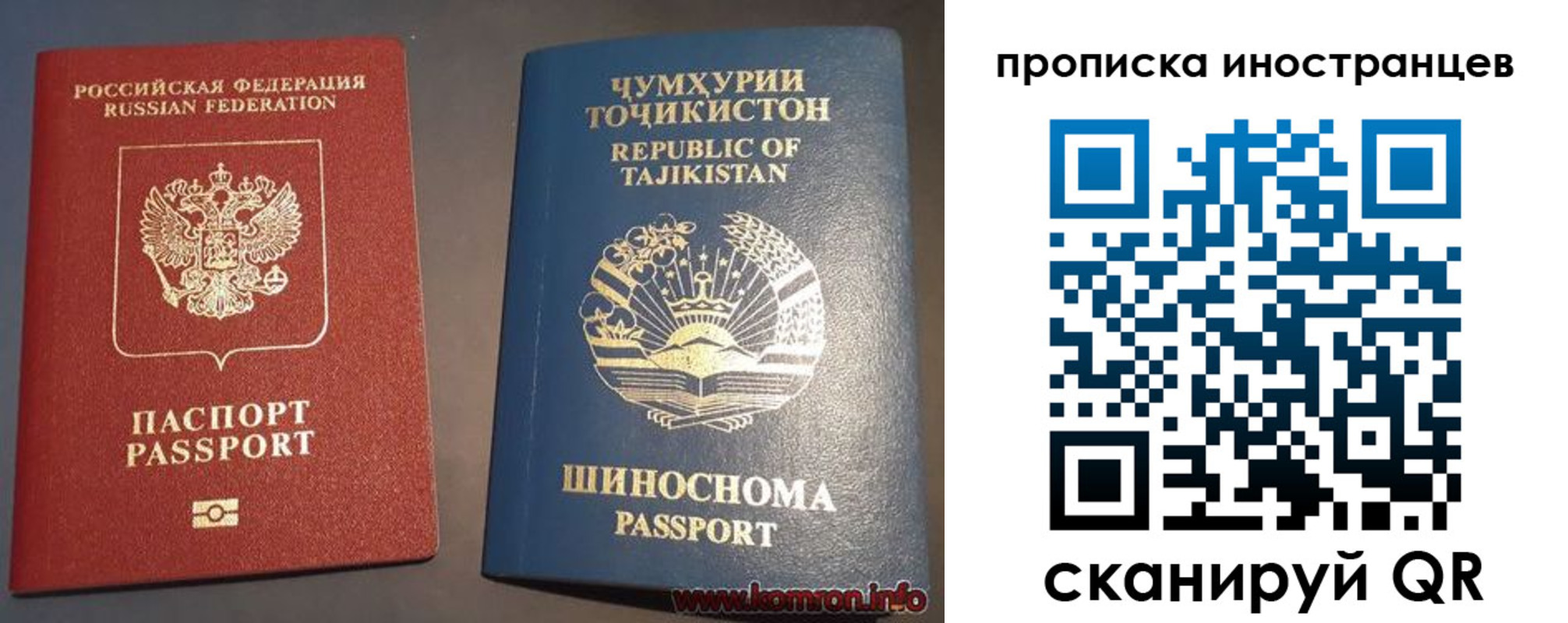 прописка поиск в Курской области